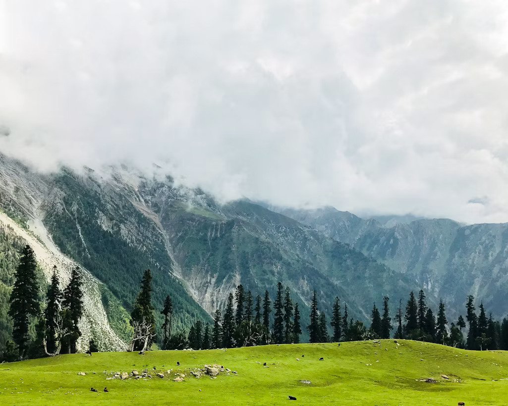 Kashmir — Summer Valley Escape photo 3