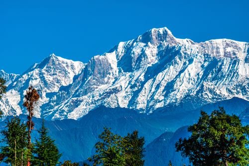 Chopta — Tungnath & Chandrashila Trek photo 5