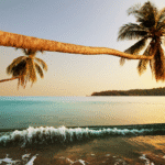 Scenic sunset view of Andaman Nicobar beach with palm trees – budget tour package from Delhi NCR
