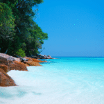 a body of water with rocks and trees