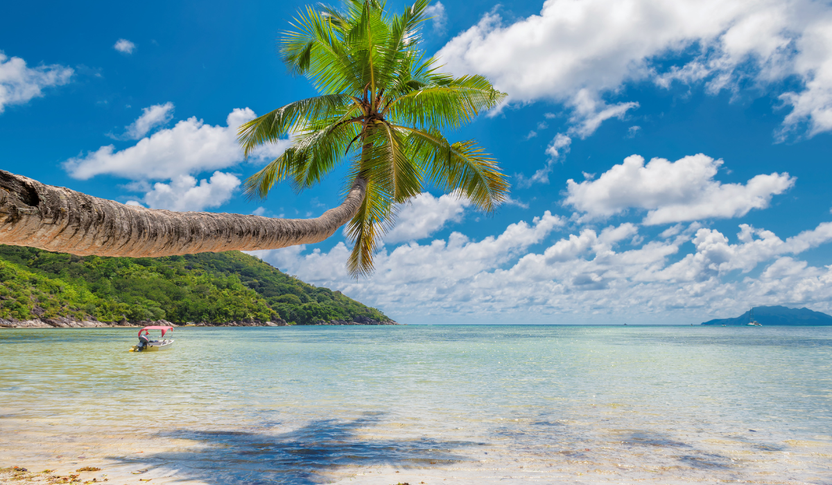 Colorful beach shack with sunbeds and umbrellas in Goa.