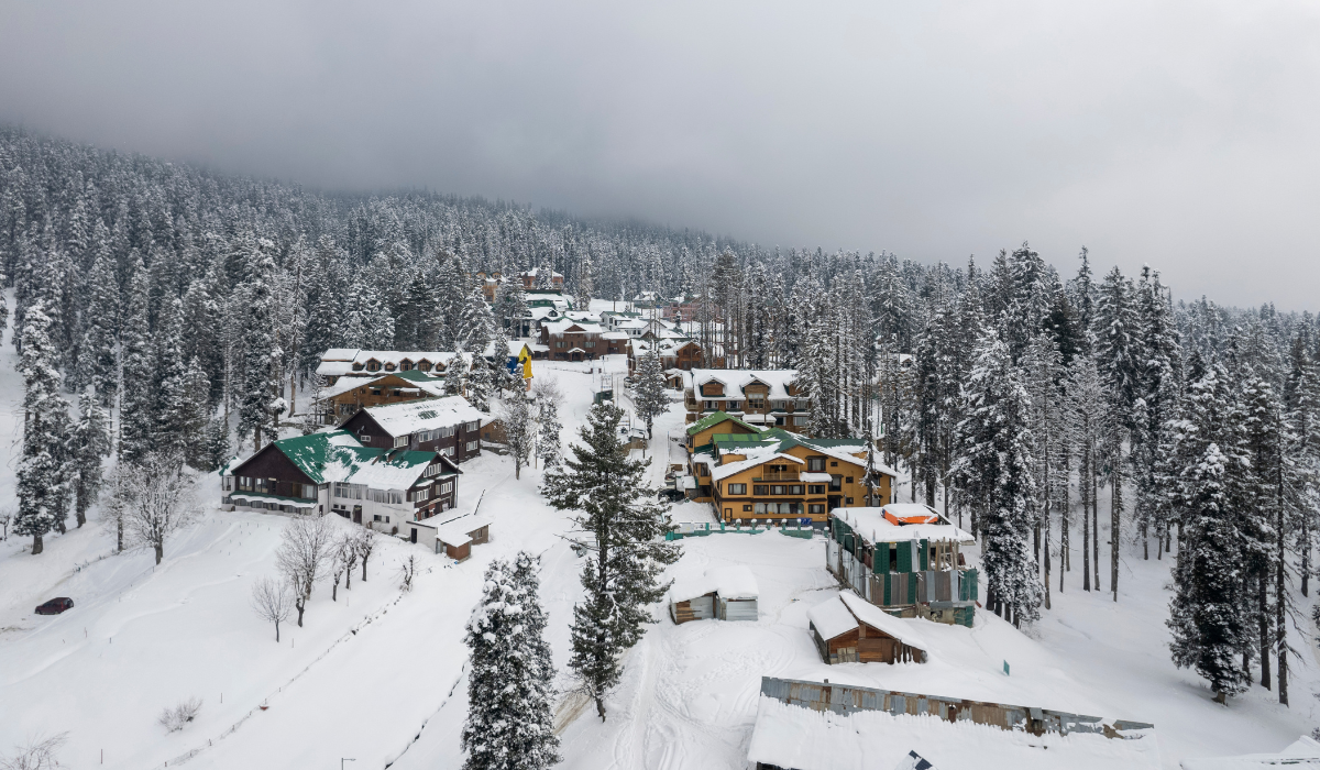 River flowing through pine forests in Pahalgam, Kashmir.