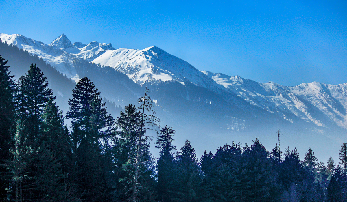 Lush green meadows and mountains of Sonmarg Valley in Kashmir.