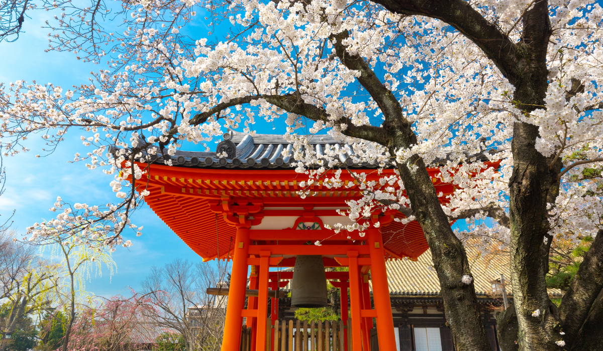 Phewa Lake Pokhara Nepal with boats and mountain reflections.